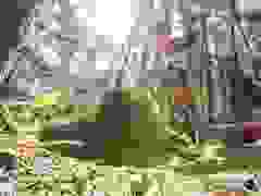 MB9_0637-9-111-9-18