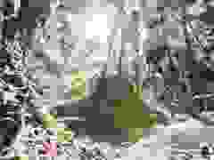 MB9_0672-9-123-9-21