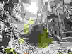 MB9_0684-9-126-9-22