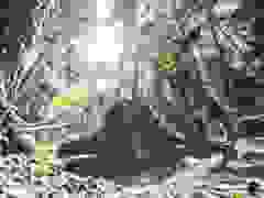 MB9_0708-9-132-9-23