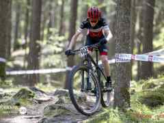 schoenherr-20240520-0225