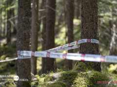 schoenherr-20240520-0233