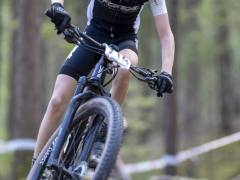 schoenherr-20240520-0238