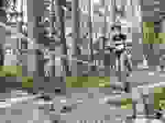 MB9_1929-9-540-9-124