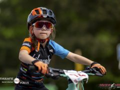 schoenherr-20240520-0258