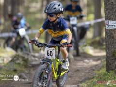 schoenherr-20240520-0322