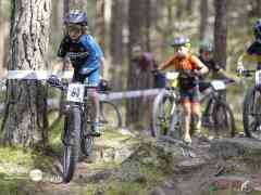 schoenherr-20240520-0325