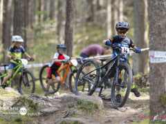 schoenherr-20240520-0333