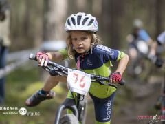 schoenherr-20240520-0334