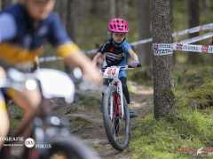 schoenherr-20240520-0338