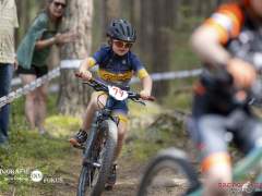 schoenherr-20240520-0340