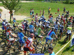 150812_M_UEC Tag3_908113.jpg