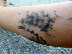 150812_M_UEC Tag3_917123.jpg