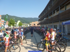 150813_M_UEC Tag4_9202.jpg