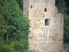 140621_Th_Windhaag_04129 (2)