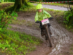 Foto-31.05.24-17-26-08