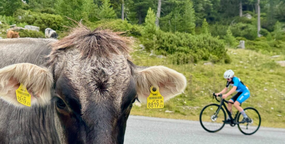 ausgewählte Rennberichte 2025